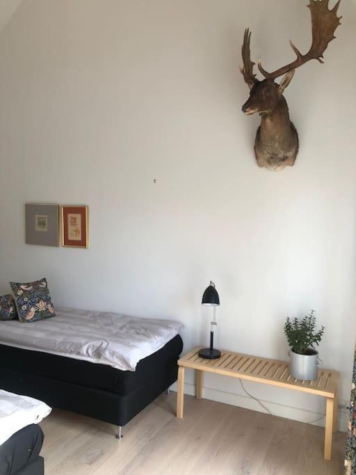 Cozy, Quiet Guest House Perfect For Business Or Pleasure Hillerød Extérieur photo