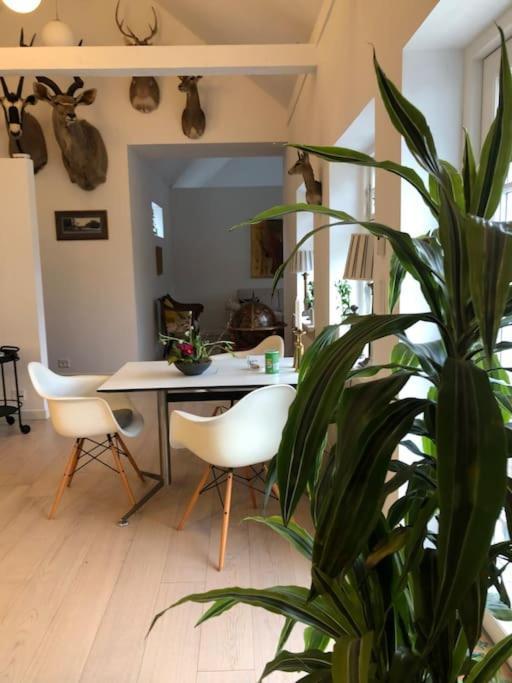 Cozy, Quiet Guest House Perfect For Business Or Pleasure Hillerød Extérieur photo