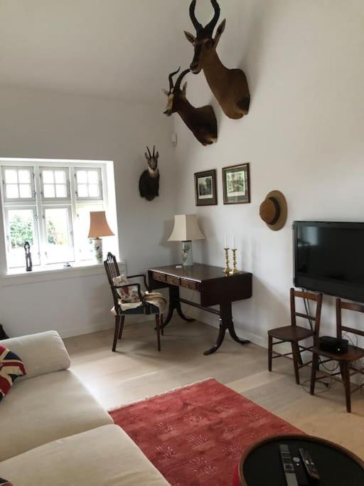 Cozy, Quiet Guest House Perfect For Business Or Pleasure Hillerød Extérieur photo